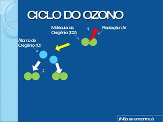 CICLO DO OZONO 1 2 (Não se encontra à escala) Molécula da Oxigénio (O2) Radiação UV Átomo de Oxigénio (O) 
