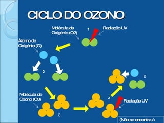 CICLO DO OZONO 1 5 4 3 2 (Não se encontra à escala) Molécula da Oxigénio (O2) Radiação UV Radiação UV Molécula de Ozono (O3) Átomo de Oxigénio (O) 