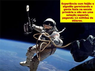 Experiência com feijão e
 algodão germinando a
  gente fazia na escola
 primária e não em uma
    estação espacial,
pagando 12 milhões de
        dólares.
 