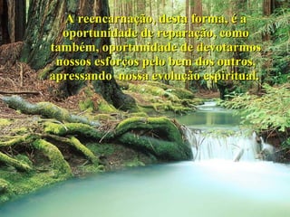 A reencarnação, desta forma, é a oportunidade de reparação, como também, oportunidade de devotarmos nossos esforços pelo bem dos outros, apressando  nossa evolução espiritual.  