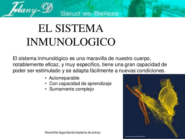 ¿Por que nos enfermamos?
