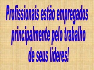 Profissionais estão empregados principalmente pelo trabalho de seus líderes! 