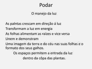 Podar
O manejo da luz
As palntas crescam em direção á luz
Transformam a luz em energia
As folhas alimentam as raízes e vice versa
Unem e demonstram
Uma imagem da terra e do céu nas suas folhas e o
formato dos seus galhos.
Os espaços permitem a entrada da luz
dentro da côpa das plantas.
 