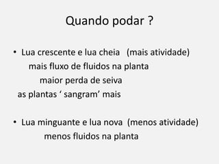 Quando podar ?
• Lua crescente e lua cheia (mais atividade)
mais fluxo de fluidos na planta
maior perda de seiva
as plantas ‘ sangram’ mais
• Lua minguante e lua nova (menos atividade)
menos fluidos na planta
 