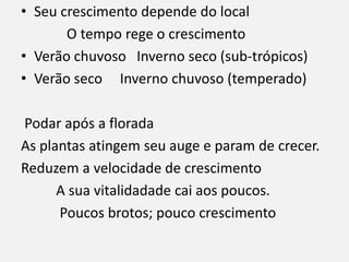 • Seu crescimento depende do local
O tempo rege o crescimento
• Verão chuvoso Inverno seco (sub-trópicos)
• Verão seco Inverno chuvoso (temperado)
Podar após a florada
As plantas atingem seu auge e param de crecer.
Reduzem a velocidade de crescimento
A sua vitalidadade cai aos poucos.
Poucos brotos; pouco crescimento
 