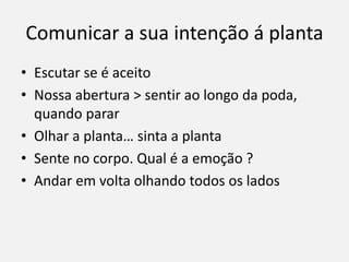 Comunicar a sua intenção á planta
• Escutar se é aceito
• Nossa abertura > sentir ao longo da poda,
quando parar
• Olhar a planta… sinta a planta
• Sente no corpo. Qual é a emoção ?
• Andar em volta olhando todos os lados
 