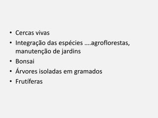 • Cercas vivas
• Integração das espécies ….agroflorestas,
manutenção de jardins
• Bonsai
• Árvores isoladas em gramados
• Frutíferas
 