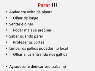 Parar !!!
• Andar em volta da planta
• Olhar de longe
• Sentar e olhar
• Podar mais se precisar
• Saber quando parar
• Proteger os cortes
• Limpar os galhos podadas no local
• Olhar a luz entrando nos galhos
• Agradecer e dedicar seu trabalho
 