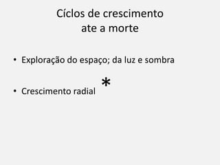 Cíclos de crescimento
ate a morte
• Exploração do espaço; da luz e sombra
• Crescimento radial *
 