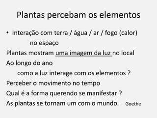Plantas percebam os elementos
• Interação com terra / água / ar / fogo (calor)
no espaço
Plantas mostram uma imagem da luz no local
Ao longo do ano
como a luz interage com os elementos ?
Perceber o movimento no tempo
Qual é a forma querendo se manifestar ?
As plantas se tornam um com o mundo. Goethe
 