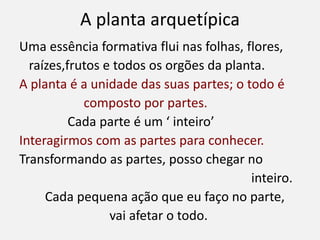 A planta arquetípica
Uma essência formativa flui nas folhas, flores,
raízes,frutos e todos os orgões da planta.
A planta é a unidade das suas partes; o todo é
composto por partes.
Cada parte é um ‘ inteiro’
Interagirmos com as partes para conhecer.
Transformando as partes, posso chegar no
inteiro.
Cada pequena ação que eu faço no parte,
vai afetar o todo.
 
