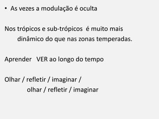 • As vezes a modulação é oculta
Nos trópicos e sub-trópicos é muito mais
dinâmico do que nas zonas temperadas.
Aprender VER ao longo do tempo
Olhar / refletir / imaginar /
olhar / refletir / imaginar
 