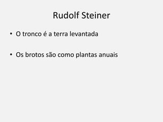 Rudolf Steiner
• O tronco é a terra levantada
• Os brotos são como plantas anuais
 