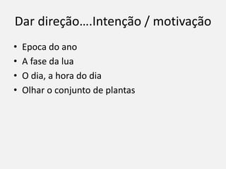 Dar direção….Intenção / motivação
• Epoca do ano
• A fase da lua
• O dia, a hora do dia
• Olhar o conjunto de plantas
 