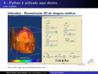 Por que Python?