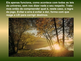 Ela apenas funciona, como acontece com todas as leis do universo, sem nos dizer nada a seu respeito. Trate-mos então de compreender qual é, neste caso, a regra do jogo. Evitar o erro é evitar a dor, forma com que reage a LEI para corrigir destinos.  