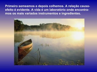 Primeiro semeamos e depois colhemos. A relação causa-efeito é evidente. A vida é um laboratório onde encontra-mos os mais variados instrumentos e ingredientes.  