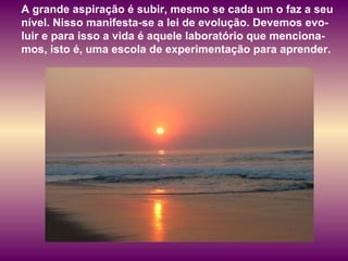 A grande aspiração é subir, mesmo se cada um o faz a seu nível. Nisso manifesta-se a lei de evolução. Devemos evo-luir e para isso a vida é aquele laboratório que menciona-mos, isto é, uma escola de experimentação para aprender.  