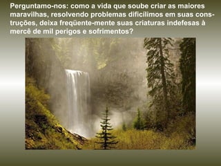 Perguntamo-nos: como a vida que soube criar as maiores maravilhas, resolvendo problemas dificílimos em suas cons-truções, deixa freqüente-mente suas criaturas indefesas à mercê de mil perigos e sofrimentos?  