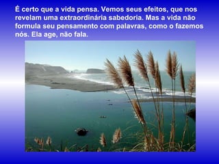 É certo que a vida pensa. Vemos seus efeitos, que nos revelam uma extraordinária sabedoria. Mas a vida não formula seu pensamento com palavras, como o fazemos nós. Ela age, não fala.  
