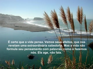 É certo que a vida pensa. Vemos seus efeitos, que nos
 revelam uma extraordinária sabedoria. Mas a vida não
formula seu pensamento com palavras, como o fazemos
                 nós. Ela age, não fala.
 