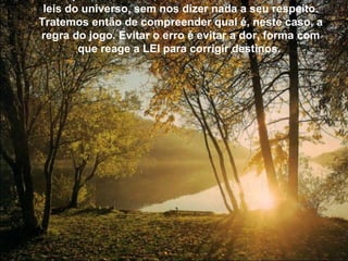 leis do universo, sem nos dizer nada a seu respeito.
Tratemos então de compreender qual é, neste caso, a
regra do jogo. Evitar o erro é evitar a dor, forma com
        que reage a LEI para corrigir destinos.
 