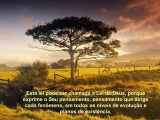 Esta lei pode ser chamada a Lei de Deus, porque exprime o
Seu pensamento, pensamento que dirige cada fenômeno,
em todos os níveis de evolução e planos de existência.




     Esta lei pode ser chamada a Lei de Deus, porque
    exprime o Seu pensamento, pensamento que dirige
     cada fenômeno, em todos os níveis de evolução e
                   planos de existência.
 