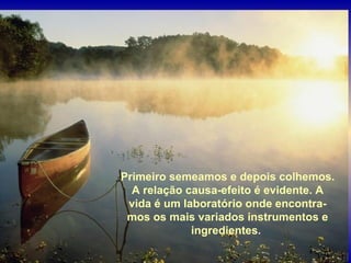 Primeiro semeamos e depois colhemos.
  A relação causa-efeito é evidente. A
 vida é um laboratório onde encontra-
 mos os mais variados instrumentos e
             ingredientes.
 