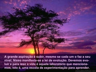 A grande aspiração é subir, mesmo se cada um o faz a seu
 nível. Nisso manifesta-se a lei de evolução. Devemos evo-
 luir e para isso a vida é aquele laboratório que menciona-
 mos, isto é, uma escola de experimentação para aprender.




A grande aspiração é subir, mesmo se cada um o faz a seu
nível. Nisso manifesta-se a lei de evolução. Devemos evo-
luir e para isso a vida é aquele laboratório que menciona-
mos, isto é, uma escola de experimentação para aprender.
 