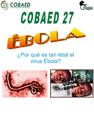 ¿Por qué es tan letal el 
virus Ébola? 
 
