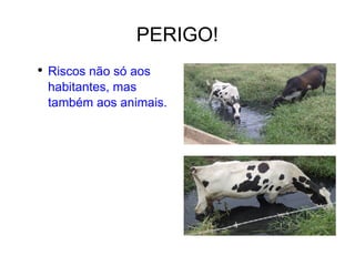 PERIGO! Riscos não só aos habitantes, mas também aos animais. 