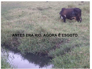 ANTES ERA RIO, AGORA É ESGOTO. 