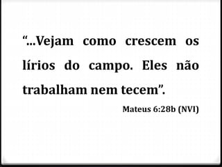 “...Vejam como crescem os
lírios do campo. Eles não
trabalham nem tecem”.
Mateus 6:28b (NVI)