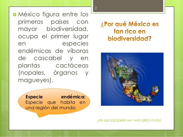 Porque Mexico Es Tan Rico En Biodiversidad