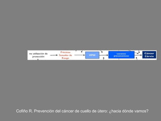 Cofiño R. Prevención del cáncer de cuello de útero: ¿hacia dónde vamos?
 