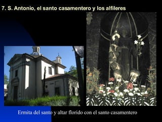 7. S. Antonio, el santo casamentero y los alfileres Ermita del santo y altar florido con el santo casamentero 