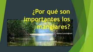 ¿Por qué son
importantes los
manglares?
Ginina Cunningham
 