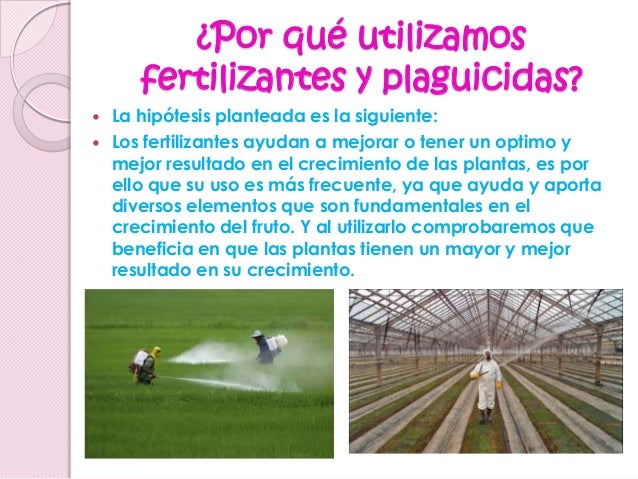 Porqué usamos fertilizantes y plaguicidas