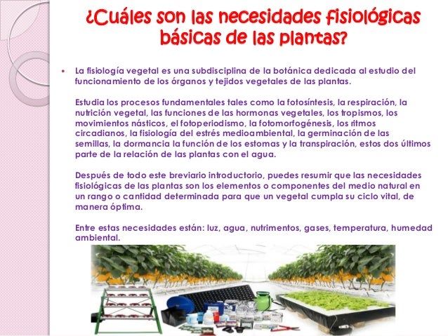 Porqué usamos fertilizantes y plaguicidas