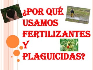 ¿POR QUÉ
USAMOS
FERTILIZANTES
Y
PLAGUICIDAS?

 