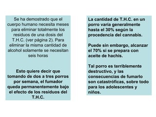 Se ha demostrado que el cuerpo humano necesita meses para eliminar totalmente los residuos de una dosis del T.H.C. (ver página 2). Para eliminar la misma cantidad de alcohol solamente se necesitan seis horas Esto quiere decir que tomando de dos a tres porros por semana, el fumador queda permanentemente bajo el efecto de los residuos del T.H.C. La cantidad de T.H.C. en un porro varía generalmente hasta el 30% según la procedencia del cannabis.  Puede sin embargo, alcanzar el 70% si se prepara con aceite de hachís.  Tal porro es terriblemente destructivo, y las consecuencias de fumarlo son catastróficas, sobre todo para los adolescentes y niños.  
