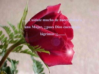 ...... Cuídate mucho de hacer llorar a
 una Mujer, ¡¡pues Dios cuenta sus
           lágrimas ¡¡........
 