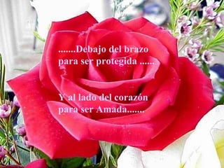 .......Debajo del brazo
para ser protegida ......


Y al lado del corazón
para ser Amada.......
 
