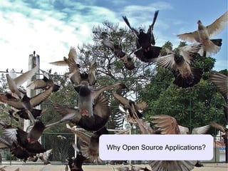 Portable Applications