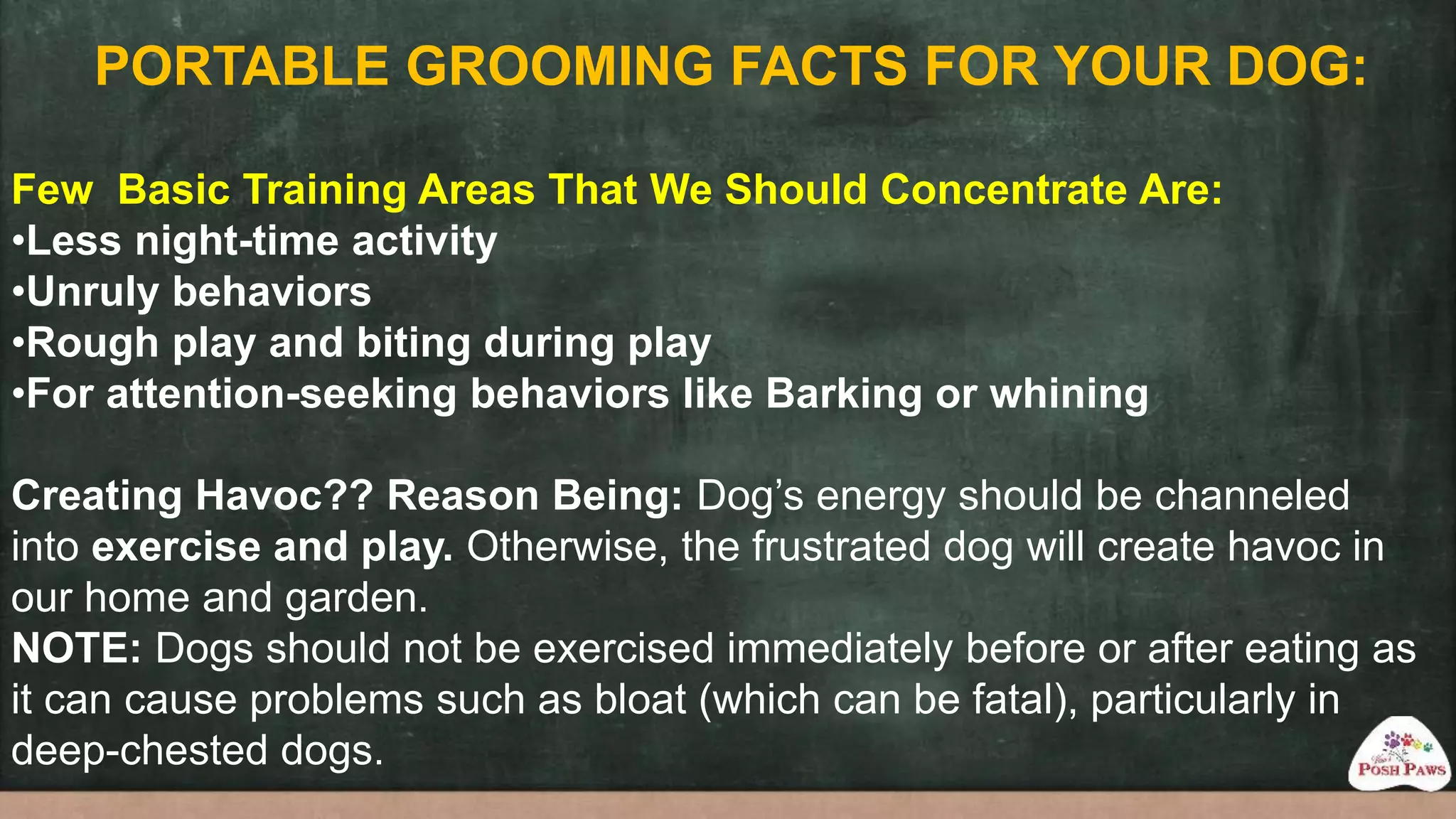Nomad Cite Dog Grooming Acts