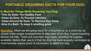 Interesting Pet Grooming Facts that you Didn't Know - Merryfield