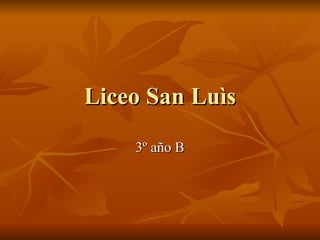 Liceo San Luìs 3º año B 