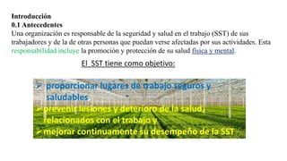 Introducción
0.1 Antecedentes
Una organización es responsable de la seguridad y salud en el trabajo (SST) de sus
trabajadores y de la de otras personas que puedan verse afectadas por sus actividades. Esta
responsabilidad incluye la promoción y protección de su salud física y mental.
El SST tiene como objetivo:
 proporcionar lugares de trabajo seguros y
saludables,
prevenir lesiones y deterioro de la salud,
relacionados con el trabajo y
mejorar continuamente su desempeño de la SST
 