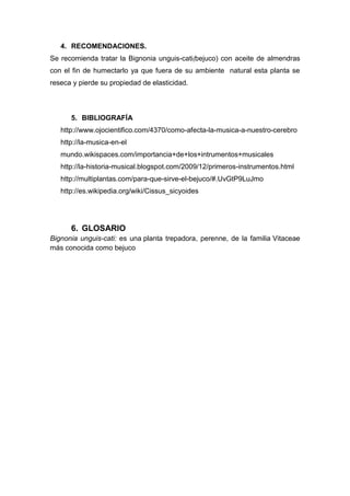4. RECOMENDACIONES.
Se recomienda tratar la Bignonia unguis-cati(bejuco) con aceite de almendras
con el fin de humectarlo ya que fuera de su ambiente natural esta planta se
reseca y pierde su propiedad de elasticidad.

5. BIBLIOGRAFÍA
http://www.ojocientifico.com/4370/como-afecta-la-musica-a-nuestro-cerebro
http://la-musica-en-el
mundo.wikispaces.com/importancia+de+los+intrumentos+musicales
http://la-historia-musical.blogspot.com/2009/12/primeros-instrumentos.html
http://multiplantas.com/para-que-sirve-el-bejuco/#.UvGtP9LuJmo
http://es.wikipedia.org/wiki/Cissus_sicyoides

6. GLOSARIO
Bignonia unguis-cati: es una planta trepadora, perenne, de la familia Vitaceae
más conocida como bejuco

 