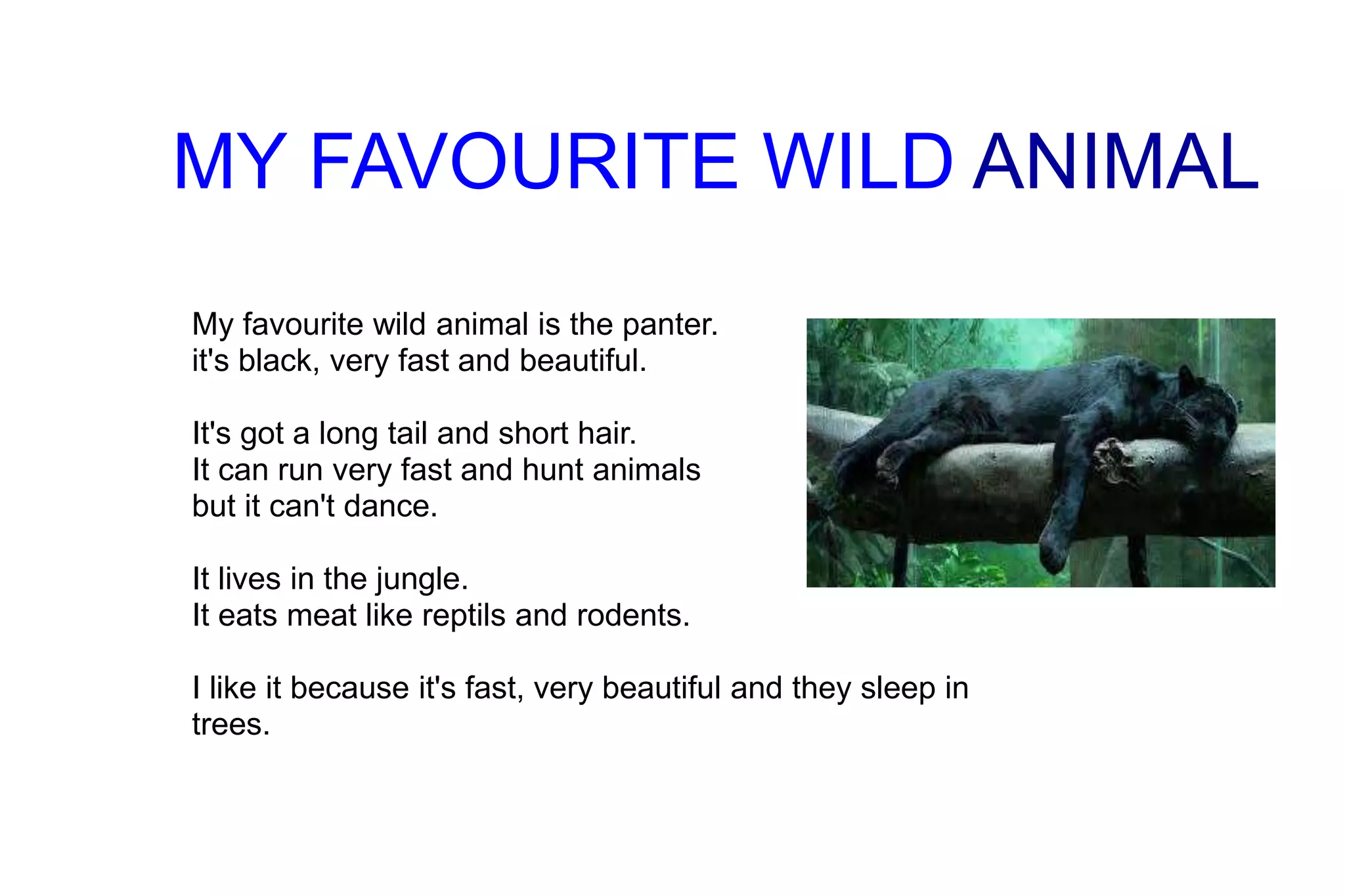 MY FAVOURITE WILD ANIMAL
My favourite wild animal is the panter.
it's black, very fast and beautiful.
It's got a long tail and short hair.
It can run very fast and hunt animals
but it can't dance.
It lives in the jungle.
It eats meat like reptils and rodents.
I like it because it's fast, very beautiful and they sleep in
trees.
 